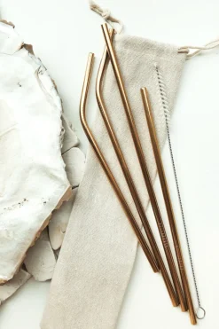 Flash Sale SABO Eco Straw Set-Gold