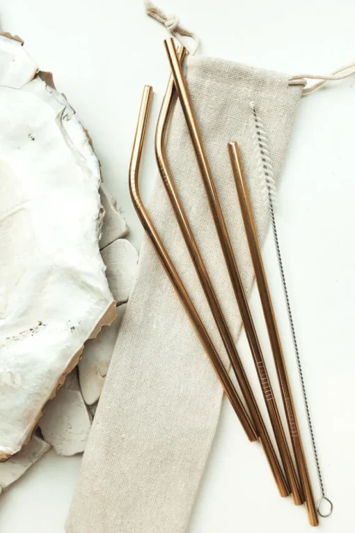 Flash Sale SABO Eco Straw Set-Gold